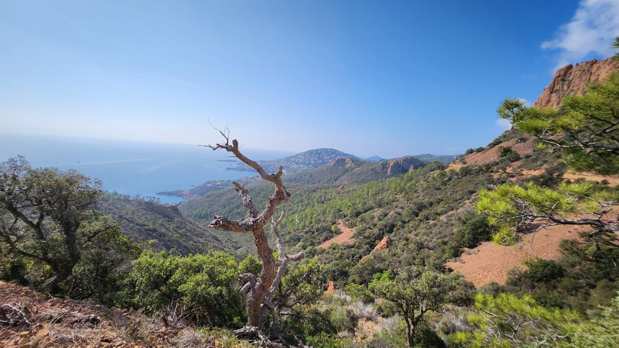 Saint-Raphael- Vue Mer Et Massif De L'Esterel Eksteriør billede